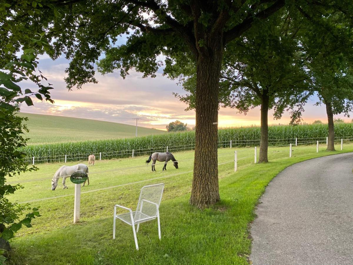 Gut Schwarz-N Hof Ferienwohnungen Bad Griesbach  Exterior foto