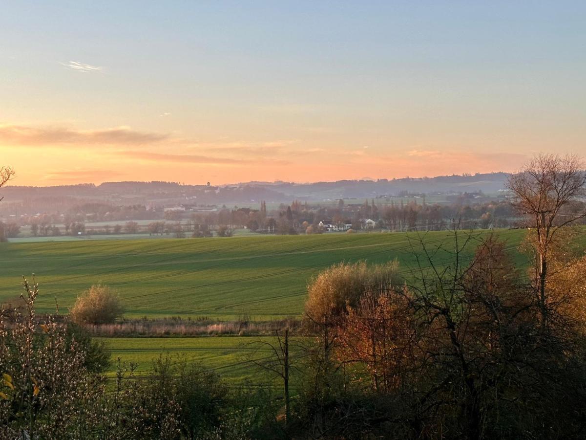 Gut Schwarz-N Hof Ferienwohnungen Bad Griesbach  Exterior foto