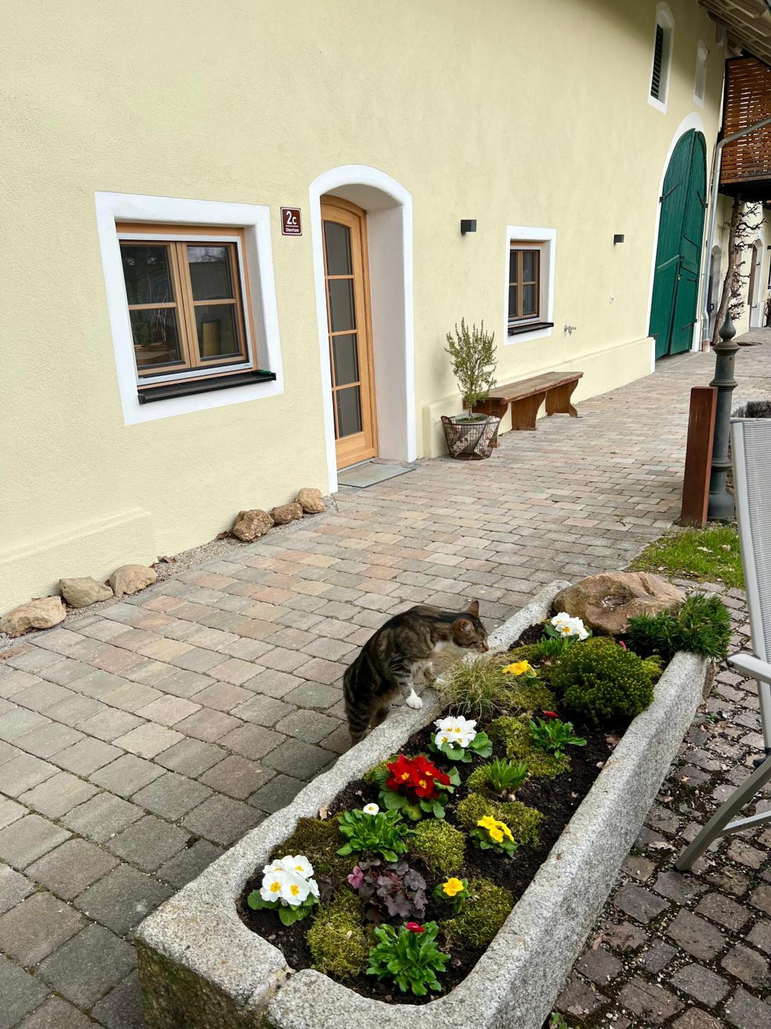 Gut Schwarz-N Hof Ferienwohnungen Bad Griesbach  Exterior foto